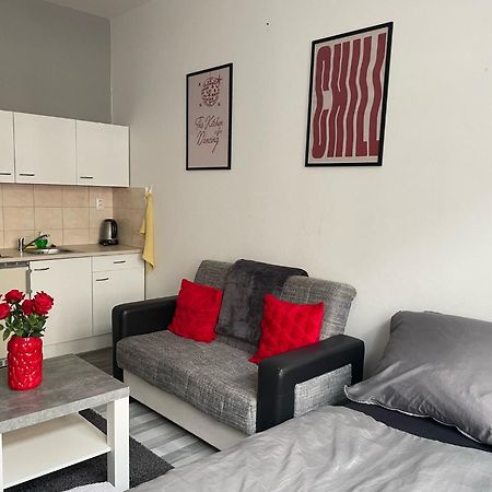 Tiffany Apartment In The City Center 布拉迪斯拉发 外观 照片